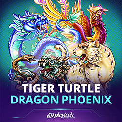 Tiger Turtle Dragon Phoenix live dealer table at XTC88 Malaysia